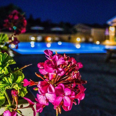 Astrakeroula Corfu Lejlighed Astrakeri Eksteriør billede
